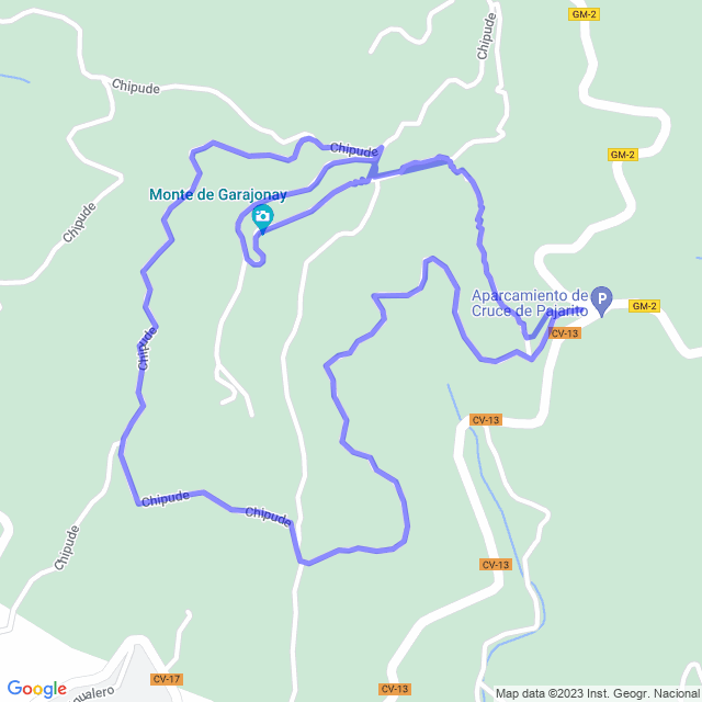 Hiking map of the trail footpath: Pajaritos-Alto Garajonay-Pajaritos